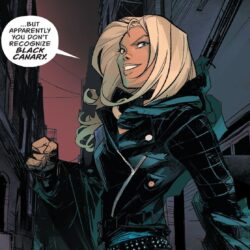 wallpapers free black canary
