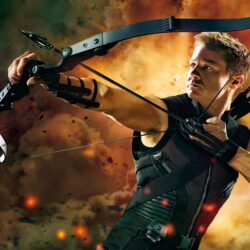 Movies Hawkeye in The Avengers wallpapers