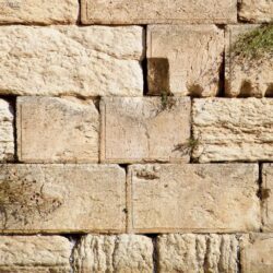 EndrTimes: JESUS AND THE WAILING WALL