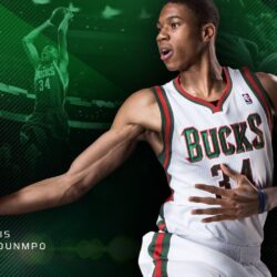 Bucks Backgrounds and Wallpapers 2013