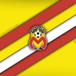 List of Synonyms and Antonyms of the Word: monarcas morelia wallpapers