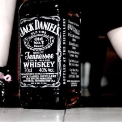 Animals For > Jack Daniels Boy Wallpapers