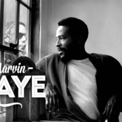 Marvin Gaye wallpapers