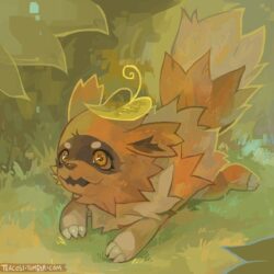 zigzagoon by teacosies