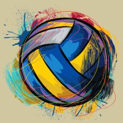 Volleyball Wallpaper…Love it!