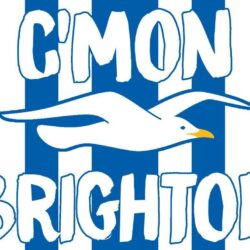 Brighton and Hove Albion Football Club Wallpapers by flyingorion on