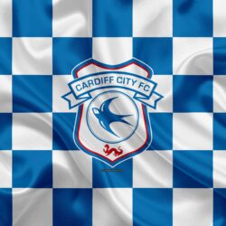 Download wallpapers Cardiff City FC, 4k, logo, creative art, blue