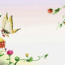 2 Butterfly Wallpapers