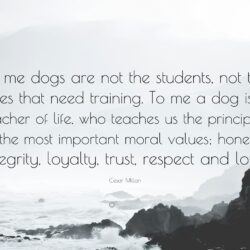 Cesar Millan Quote: “To me dogs are not the students, not the ones