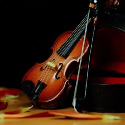 Violin Wallpapers Download 24655