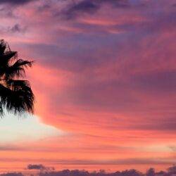 Tenerife, Sunset, The Sky, Paint, Palma, Sunset, Clouds