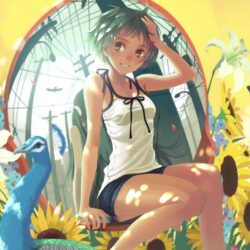 Download Monogatari Series, Anime Girl, Sunflowers, Summer