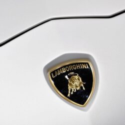 SPORTS CARS: Lamborghini logo