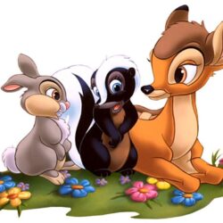 Photo Bambi Disney Cartoons