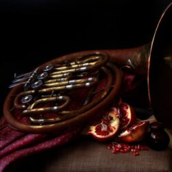 french horn pomegranates music HD wallpapers