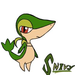Snivy image Snivy HD wallpapers and backgrounds photos