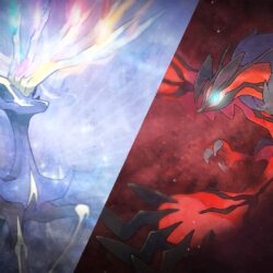 Xerneas and yveltal wallpapers