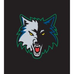 Get More Minnesota Timberwolves Wallpapers