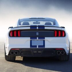 2016 Ford Shelby Mustang GT350 Wallpapers & HD Image