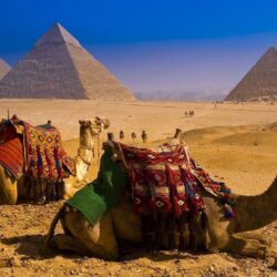 Egypt Backgrounds Free Download