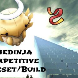 Shedinja Pokemon XY Competitive Moveset/Build!