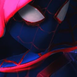 Movie/Spider