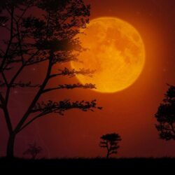 Red Moon Wallpapers HD