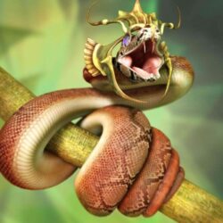 King Cobra Of Snake Wallpapers HD Wallpapers