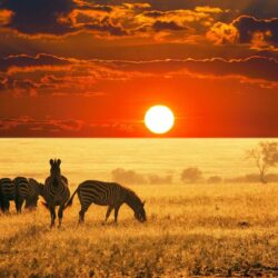 african wallpapers
