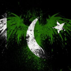 Pakistan Flag in Eagle Shape HD Wallpapers