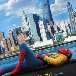 Spiderman Homecoming Wallpapers & Stills 2017