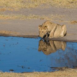 Botswana Safari Parks & Attractions