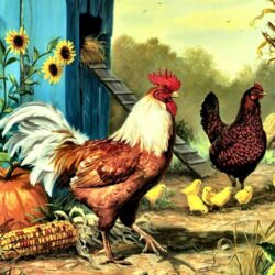 55+ Chickens Painting Wallpapers