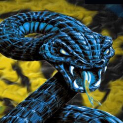 Snake HD Wallpapers