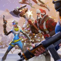 Fortnite Winter Season Iphone 7,6s,6 Plus, Pixel xl ,One