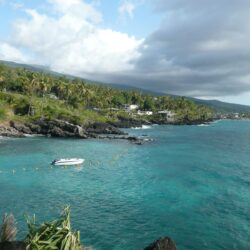 comoros palms and sea