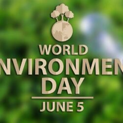 World Environment Day Hd Wallpapers Pictures