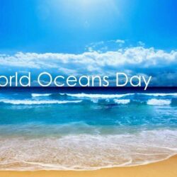 World Oceans Day Iphone