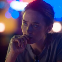 women face actress celebrity emily blunt sicario wallpapers and