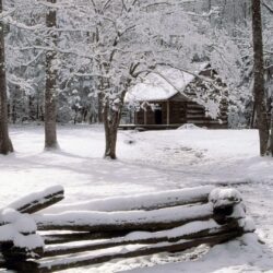 Carter Shields Cabin, Great Smoky Mountains National Park
