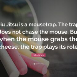 Jiu Jitsu Quotes Nice Helio Gracie Quotes 15 Wallpapers Quotefancy