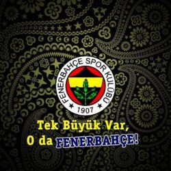 Fenerbahce Wallpapers