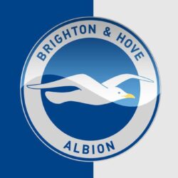Brighton and Hove Albion moblie backgrounds by Kingwallpapers on