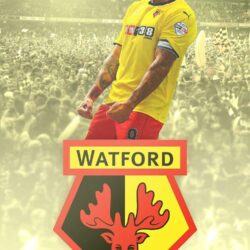 WatfordFC on Behance