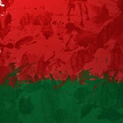3 HD Belarus Flag Wallpapers