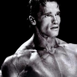 Arnold Hd Wallpapers