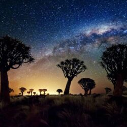 The Milky Way stretches over the Quiver Tree Forest, Namibia