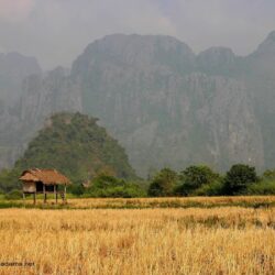 Ricefield Hut, Vang Vieng, Laos Wallpapers