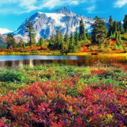 Park North Mountains Shuksan Beautiful Washington Cascades Forest