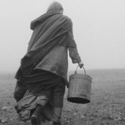 Monochrome bucket the turin horse béla tarr wallpapers